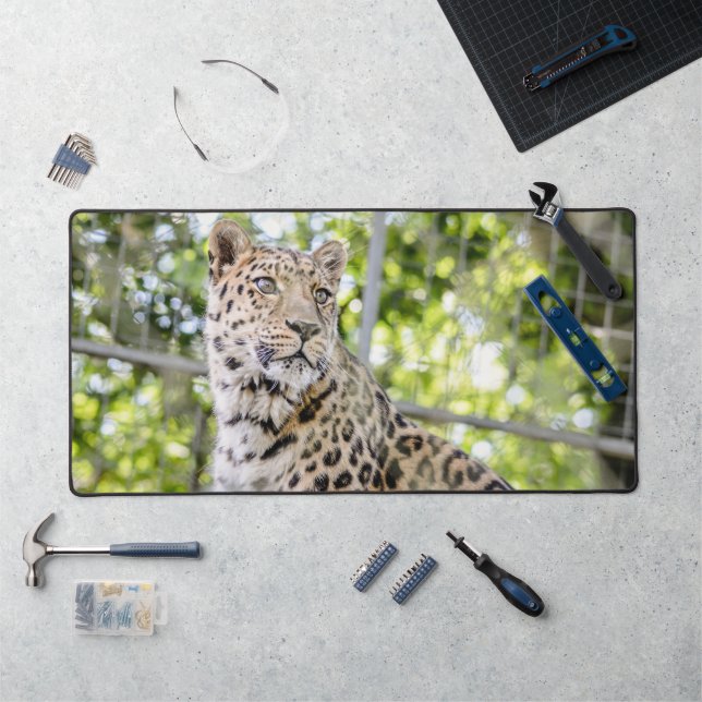 Gros plan sur la photo du visage de Leopard (Poste de travail)