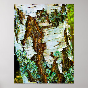 Gros plan sur une affiche