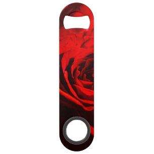 Gros plan sur une rose rouge