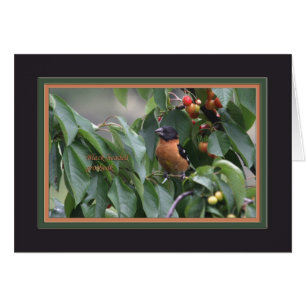 Grosbeak5905 à tête noire