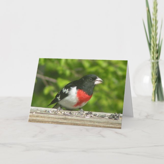 Grosbeak Thinking Of You Card (Large Print) (Front)
