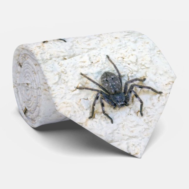 Grosse Femme Spider, Cravate (Roulé)