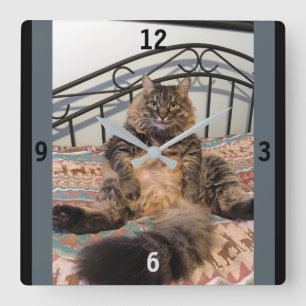 Grosse horloge murale de chats