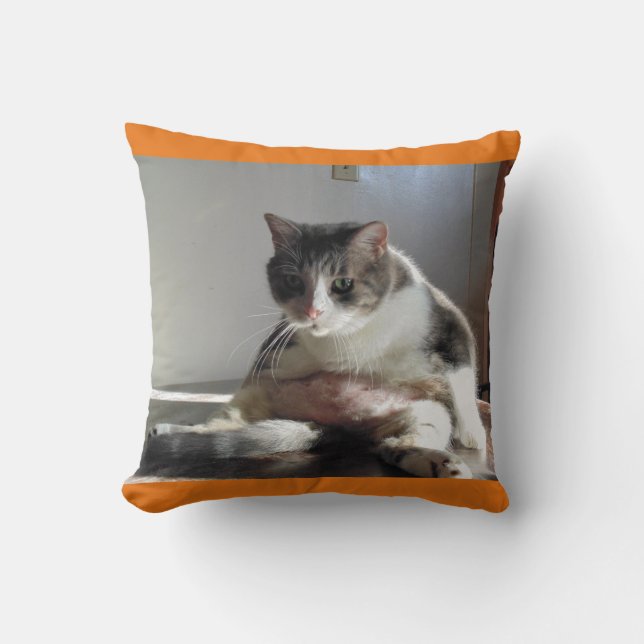 Grosse photo de chat tigré sur le coussin (Recto)