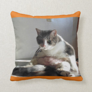Grosse photo de chat tigré sur le coussin