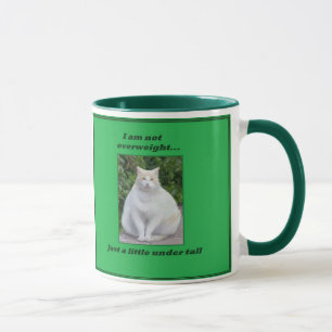 Grosse tasse non de poids excessif de chat