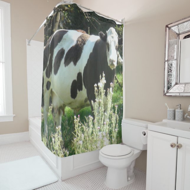 Grosse vache du rideau de douche du Wisconsin (En situation)