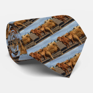 Grosses vaches Brown Highland, Cravate d'impressio