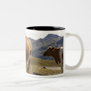 grossglockner hochalpenstrasse,hohe tauern, Two-Tone coffee mug