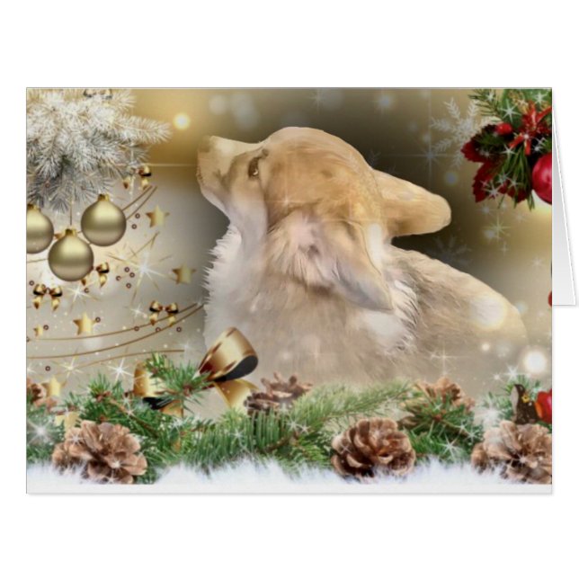 Grotte de Corgi Welsh (Devant horizontal)