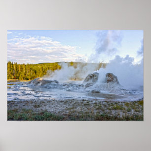 Grotto Geyser, Yellowstone National Park Poster
