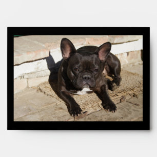 Grouchy French Bulldog Envelopes