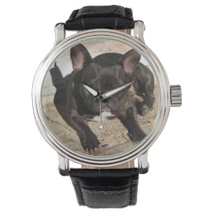 Grouchy French Bulldog Watch