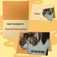 Grouchy Grumpy Cat Exotic Persian Funny Birthday