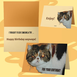 Grouchy Grumpy Cat Exotic Persian Funny Birthday Card