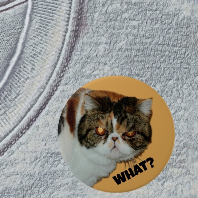Grouchy Grumpy Cat What? Funny Photographic 3 Inch Round Button (Creator Uploaded)