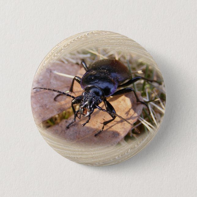 Ground Beetle ~ button (Front)