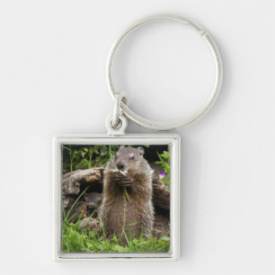 Ground Hog Munching on a Flower Keychain