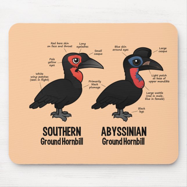Ground Hornbil Statistics Mouse Pad (Front)