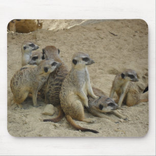 Ground male Mousepad