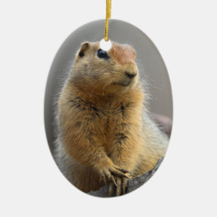 Ground Squirrel Ceramic Ornament