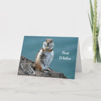 Ground Squirrel  Congratulations Wedding Card
