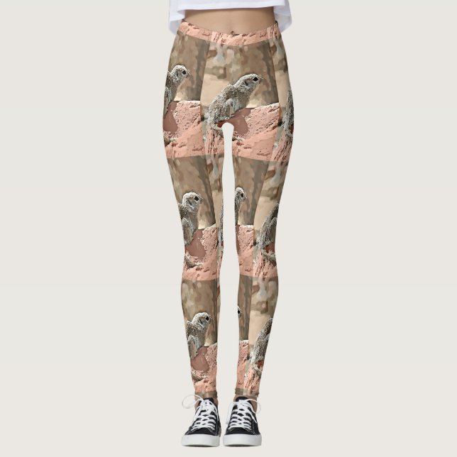 Ground Squirrel in Cartoon Women's Leggings. Leggings (Front)