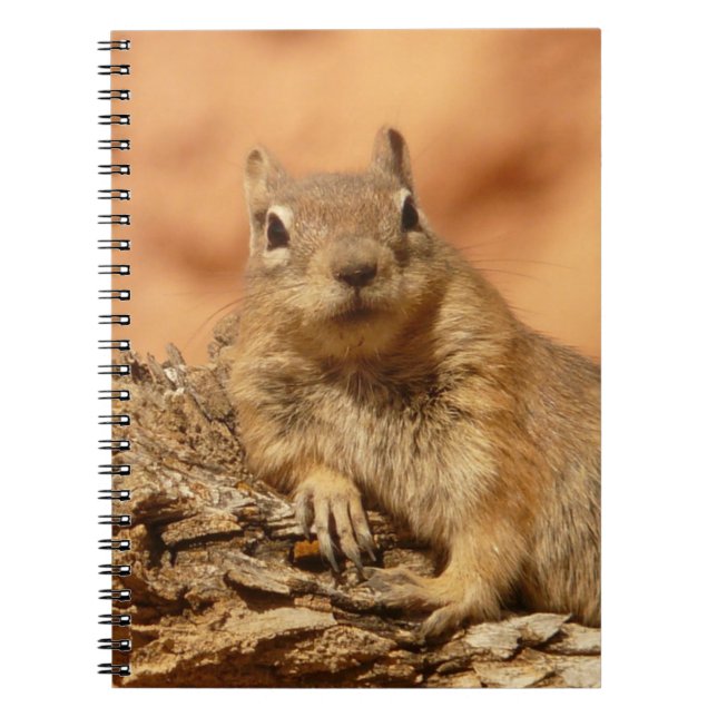 Ground Squirrel Photo Notebook (Front)