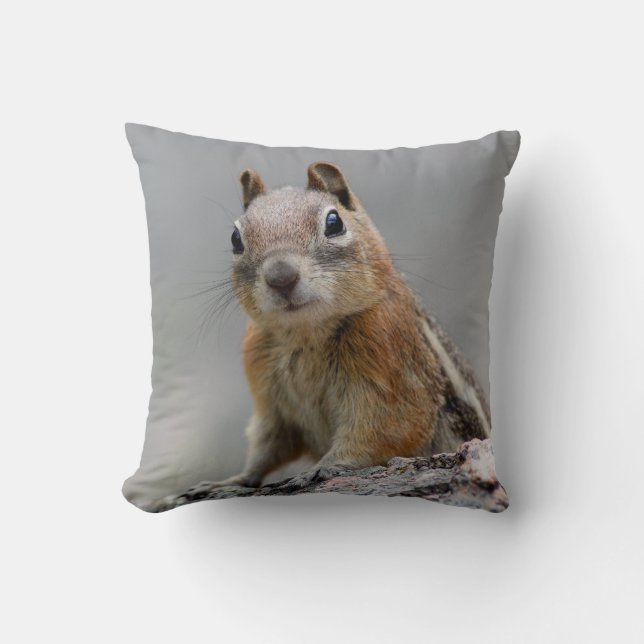 Ground Squirrel Throw Pillow (Front)