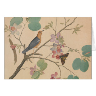 Ground Thrush and Moth on an Orchid Branch
