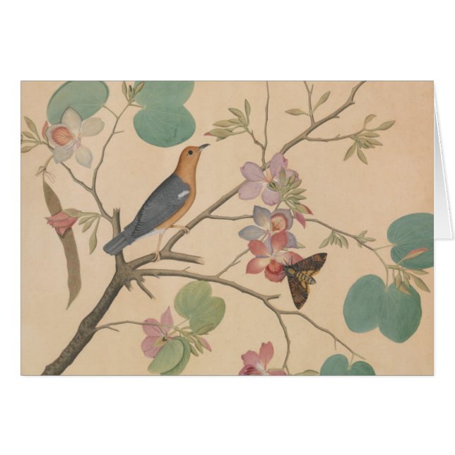 Ground Thrush and Moth on an Orchid Branch (Front Horizontal)