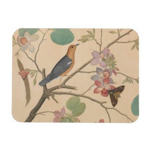 Ground Thrush and Moth on an Orchid Branch Magnet