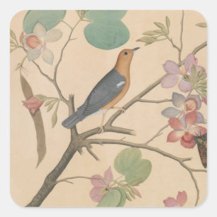 Ground Thrush and Moth on an Orchid Branch Square Sticker