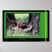 GroundHog 1