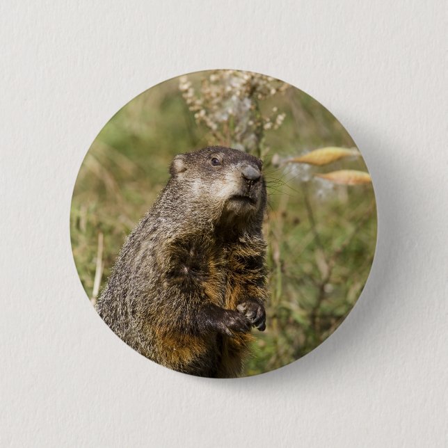 Groundhog 2 Inch Round Button (Front)