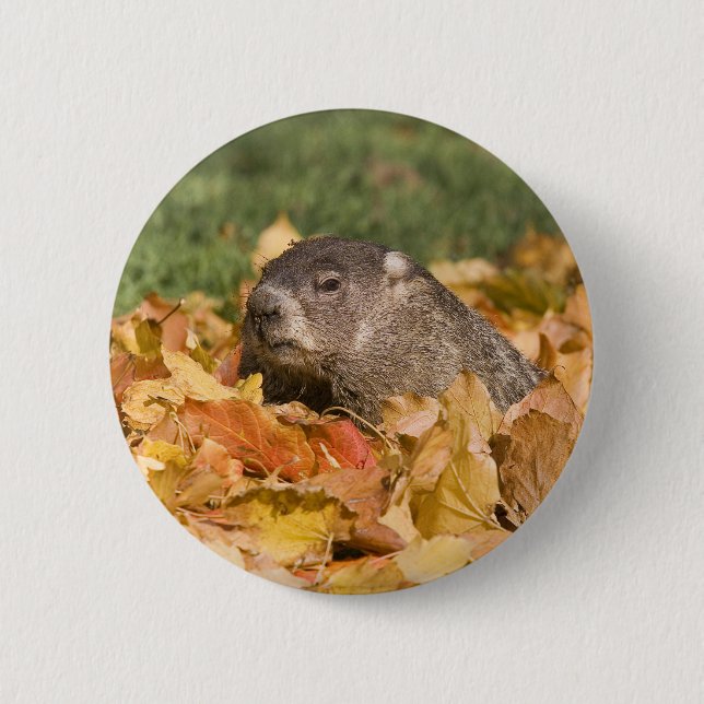 Groundhog 2 Inch Round Button (Front)