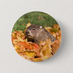 Groundhog 2 Inch Round Button