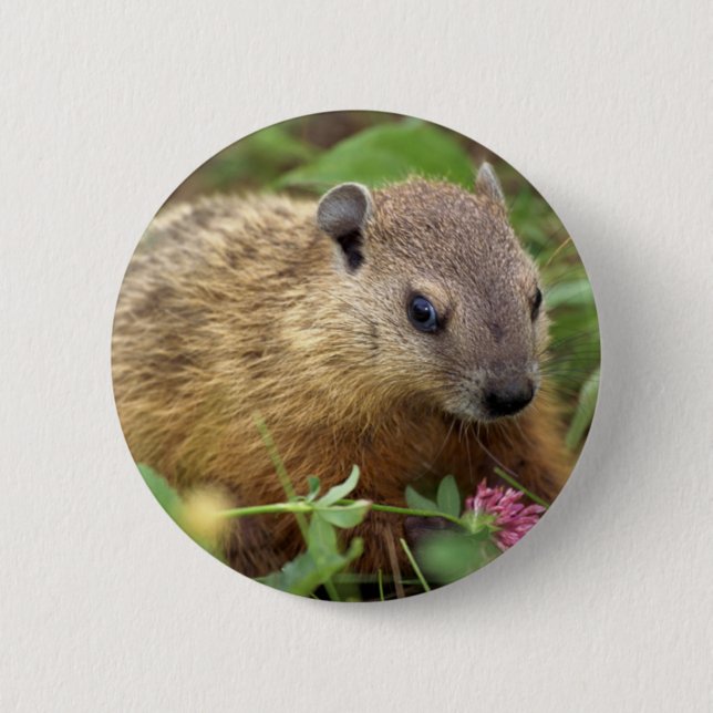 Groundhog 2 Inch Round Button (Front)