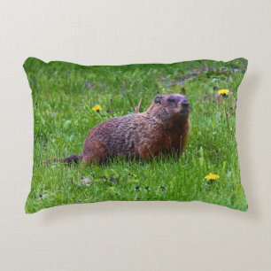 Groundhog Accent Pillow