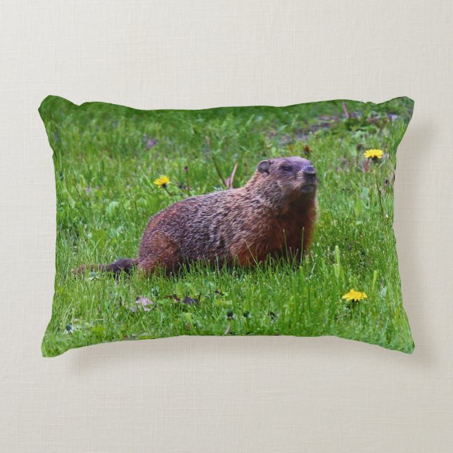 Groundhog Accent Pillow (Front)