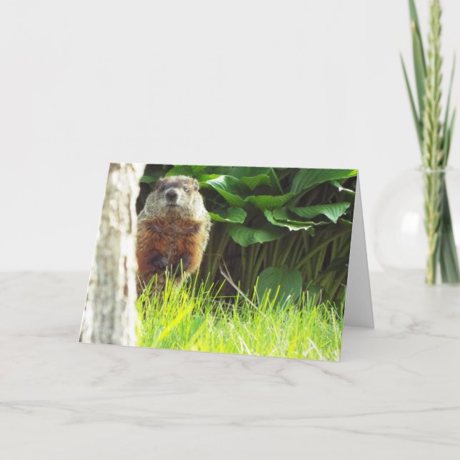 Groundhog Card (Front)