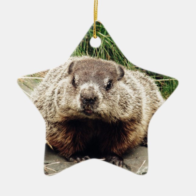 Groundhog Ceramic Ornament (Front)