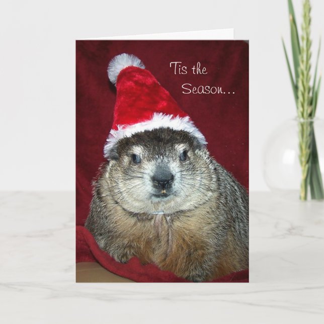 Groundhog Clara Holiday Greeting Card (Front)