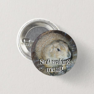 Groundhog Day Button