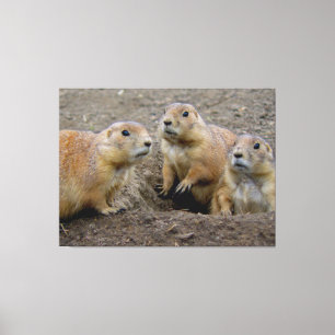 Groundhog Day Canvas Print