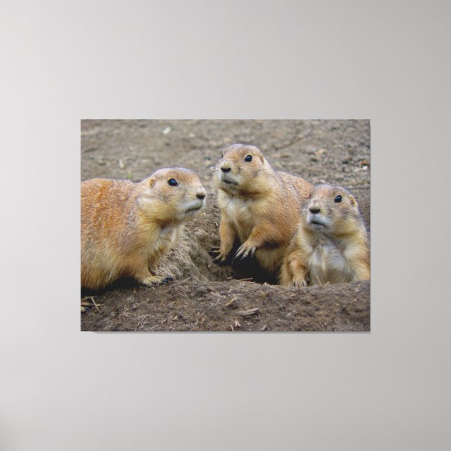 Groundhog Day Canvas Print (Front)