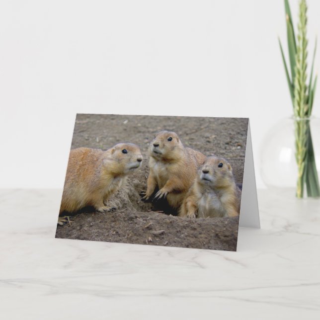 Groundhog Day Card (Front)