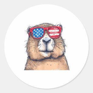 Groundhog Day Decorations 2025 Funny Groundhog Day Classic Round Sticker