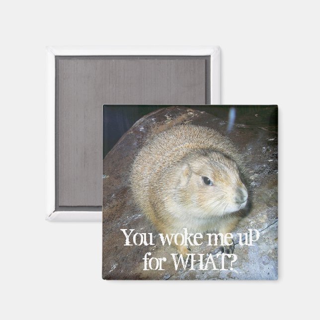 Groundhog Day Magnet (Front/Back)