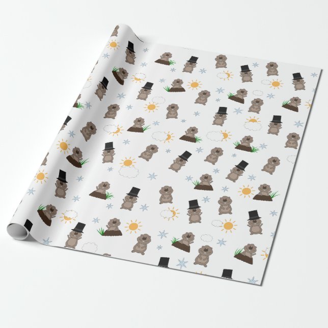 Groundhog Day Pattern Wrapping Paper (Unrolled)